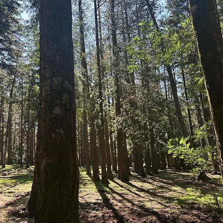 Rum i privatbostad La Vedetta Luras