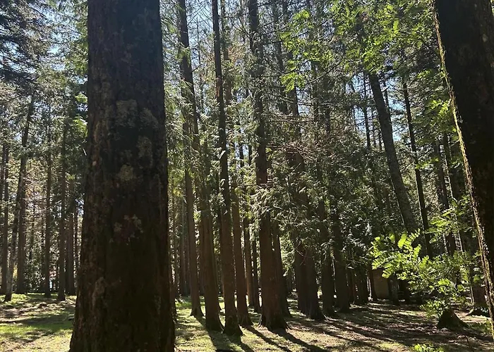 民宿 La Vedetta Luras